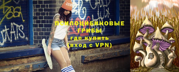 молекула духа Магадан
