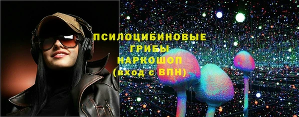 молекула духа Магадан