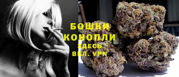молекула духа Магадан
