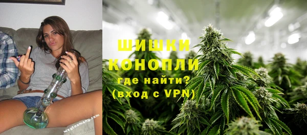 молекула духа Магадан