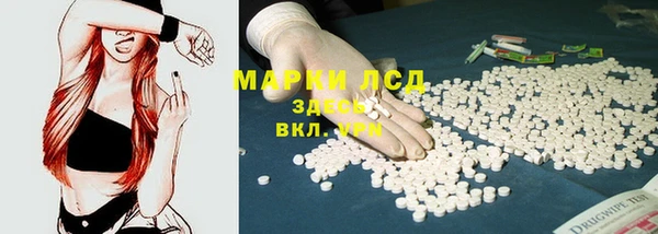 молекула духа Магадан