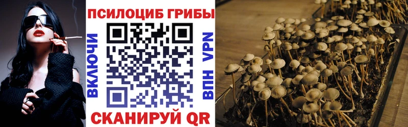 Псилоцибиновые грибы ЛСД  Туапсе 