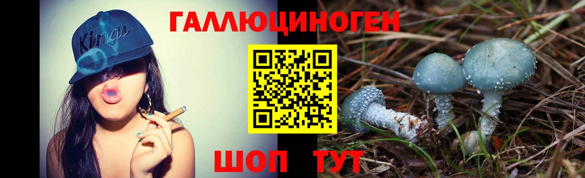 Туапсе  Галлюциногенные грибы ЛСД  Вход с VPN  Псилоцибиновые грибы мухоморы 